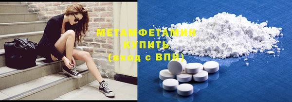 прущие грибы Надым