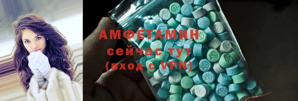 прущие грибы Надым