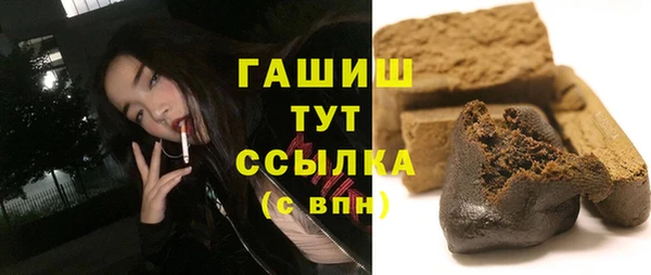 прущие грибы Надым