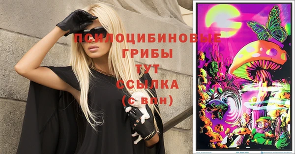 прущие грибы Надым