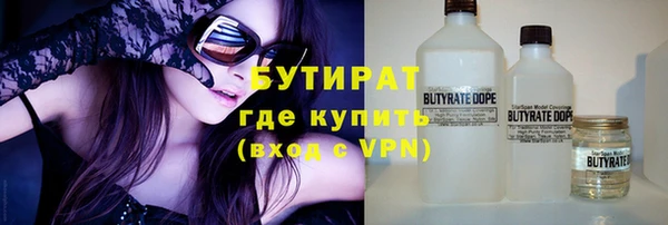 прущие грибы Надым