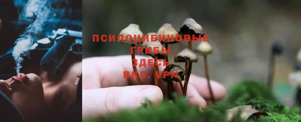 Альфа ПВП Навашино