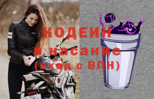 прущие грибы Надым