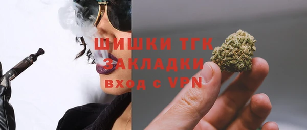 прущие грибы Надым