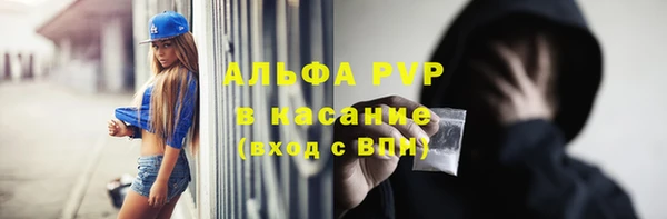 прущие грибы Надым