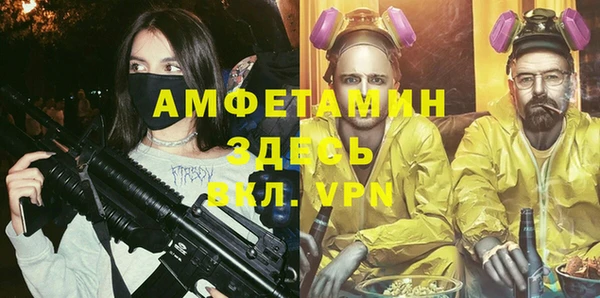 прущие грибы Надым