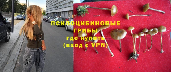 прущая мука Наволоки