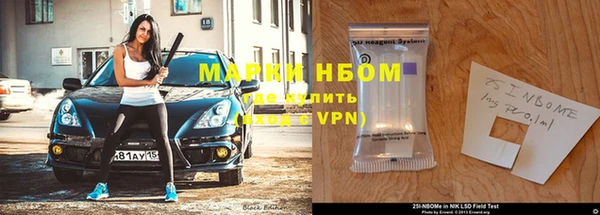 прущие грибы Надым
