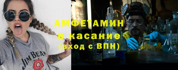прущие грибы Надым